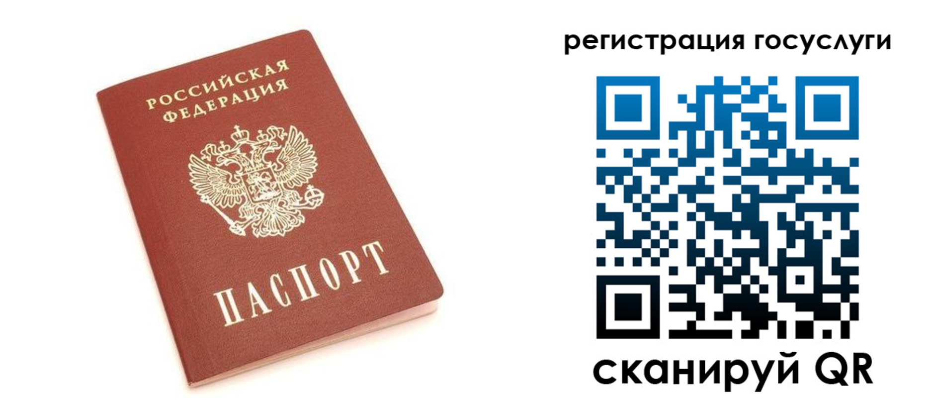 прописка 2025 в Вяземском